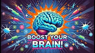 Unlocking the Power of the Hippocampus: Neurogenesis, Memory, and Brain Health Explained