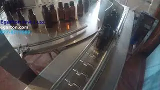 Conveyor and rotary table