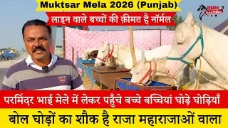 परमिंदर जी मेले में लेकर पहुँचे बच्चे और घोड़े लाइन वाले बच्चों की क़ीमत है नॉर्मल Muktsar Mela 2026