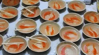 Snacks 3D Goldfish art by Gerardo Chierchia
