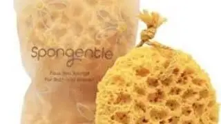 magnetic 8 Bath Sponges That Are top-notch