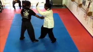 Chen Pan Ling Hsing I Basic Applications (Ling Yun Pai)
