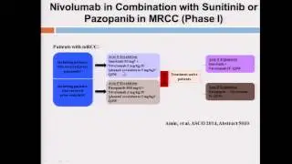 Immunotherapy For Kidney Cancer: A New Renaissance? Jianjun Gao, MD, PhD