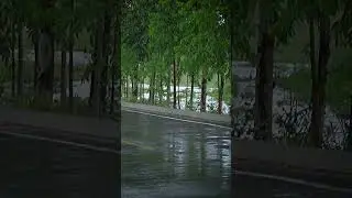 Rain with Thunder Sounds for Sleeping  #insomniarelief #rainwiththunder  #relaxingtimeforyou