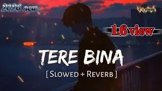 TERE BIN by RAHAT FATEH ALI KHAN, ASEES KAUR, TANISHK BAGCHI #lofisong #terebin #lofi