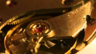 sony nex macro watch internals