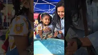 The Royal Palm Animal Farm: A Hidden Gem for Pune's Kids