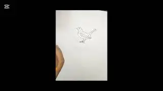 দোয়েল পাখি আঁকা | Magpie Drawing | জাতীয় পাখি দোয়েল অংকন |  doyel pakhi aka