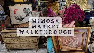 LET'S SEE WHAT TREASURES WE CAN FIND AT MIMOSA MARKET! #comegowithmetoday