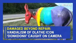 Vandalism of Olathe community icon 'DonkDonk' caught on camera