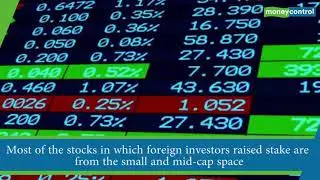 FIIs raised stake in 140 stocks in 2019; only 18 gained more than 50%