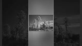 Black & white #shorts #bts #canonr6 #nature  #hike #travel #traveling #b&w #eosr6 #canon