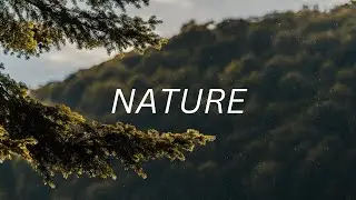 Nature Music Meditation for Deep Relaxation and Inner Peace - Relaxing music