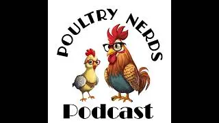 Bird Flu & Backyard Flocks: What Every Poultry Nerd Needs to Know (with Dr. Teresa Morishita)