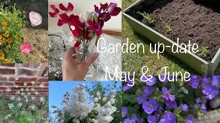 Garden update for May and June vlog #gardening #orchard #wildflowers