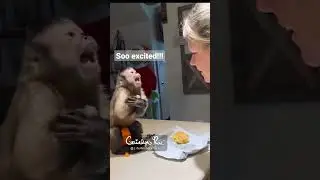E X C I T E D 🐒 #cute #funny #lifewithgaitlyn