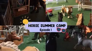 Horse camp series! ☀️💖