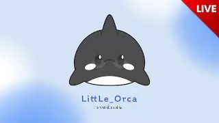 วาฬนั่งเล่น LittLeOrca Live stream 11/01/2026 #tft #leagueoflegends #littleorca #วาฬนั่งเล่น #วาฬ