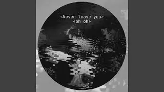 Never Leave You (Oh Oh) (Radio Edit)