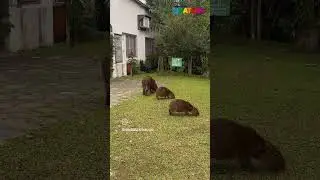 Ubatuba é assim!