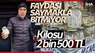 Kenger Sakızı Ne İşe Yarar? Kenger Sakızının Kilogram Fiyatı 2 Bin 500 TL