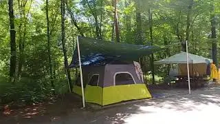 #318 Davidson River Campground Review