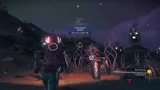 Another Relaxed Night Exploring No Man&rsquo;s Sky #NMS #BaseBuilding