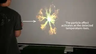 Pulse of Roots