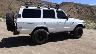 TLC Custom 