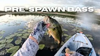 Pre-Spawn Bass Fishing Across The Border
