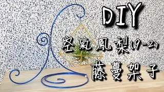 DIY wire 教你如何使用彩色鋁線製作空氣鳳梨  藤蔓架子  How to make Aluminum wire Air plant Vine shelf