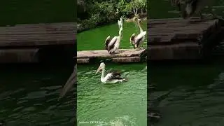 MasyaAllah barakallahu fiik.... Sejuk banget hati ini Berasa di syurga... Barakallahu fiik 