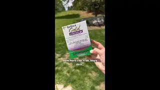 Easy DIY Cockroach Treatment That Actually Works