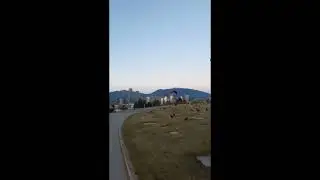 Burnaby Crows