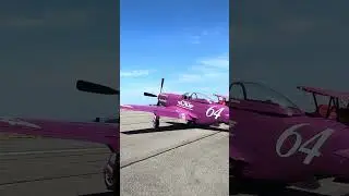 ✈️ Warbird Wednesday with P-51 Plum Crazy! #warbirdwednesday #warbirds #airplane #aviationhistory