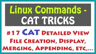 Linux Command Cat | File Creation using cat command | Linux Command Line | Cat Linux Command