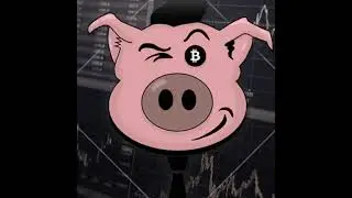 Fat Pig Signals Bitcoin Live Trading