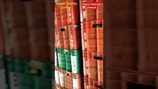 Export Quality Lemon💥🍋🍋#lemon #viralvideo #wholesale #farming #vegetables #trendingshorts