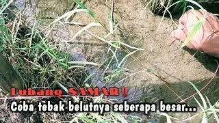 PALING MUDAH‼️YA MANCING BELUT DI SAWAH