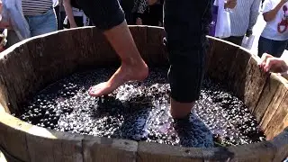 Areni Wine Festival inspires Armenian winemakers