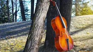 Красивая виолончель и небесная фортепианная музыка 🍂 Спокойная осенняя живописная релаксация