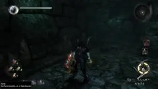 Nioh Invincibility Glitch - Infinite Health/No Damage [READ DESCRIPTION]