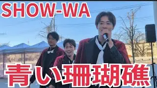 SHOW-WA『青い珊瑚礁』ところざわサクラタウン 2026.01.10 