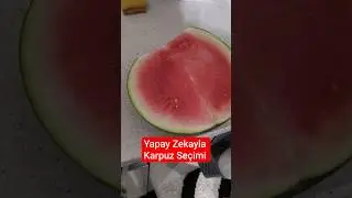 Yapay Zekayla Karpuz Se&ccedil;imi... #sağlık #teknoloji #yapayzeka #tatilvlog