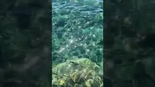 AiReS PleiadeS - Ocean of Deep House (Relaxing Ambient) 2025