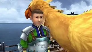 FFX   296   Clasko chocobo breeder