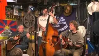Miki Ryvola - Hejno vran