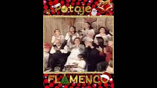 NOCHE BUENA GITANA EN C&Aacute;DIZ | VILLANCICO FLAMENCO | NAVIDAD FLAMENCA #flamencostyle #flamenco
