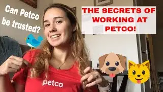 СЕКРЕТЫ РАБОТЫ В PETCO!