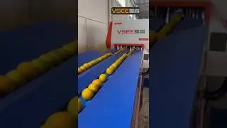 Orange Sorting Machine